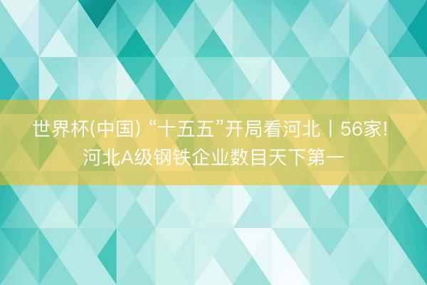 世界杯(中国) “十五五”开局看河北丨56家! 河北A级钢铁企业数目天下第一