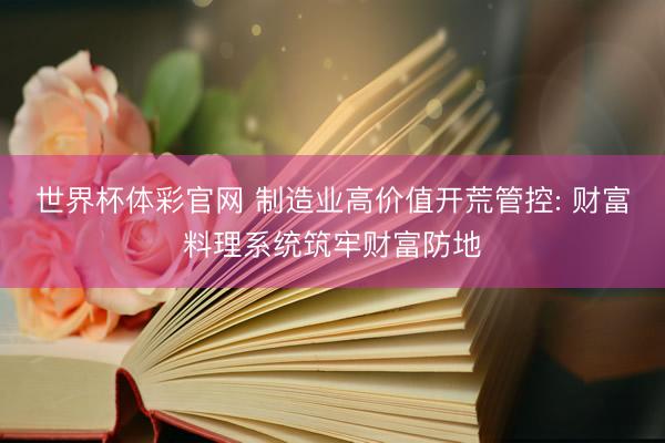 世界杯体彩官网 制造业高价值开荒管控: 财富料理系统筑牢财富防地