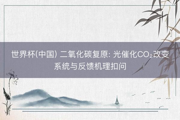 世界杯(中国) 二氧化碳复原: 光催化CO₂改变系统与反馈机理扣问
