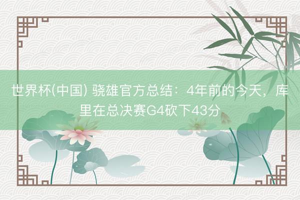世界杯(中国) 骁雄官方总结：4年前的今天，库里在总决赛G4砍下43分