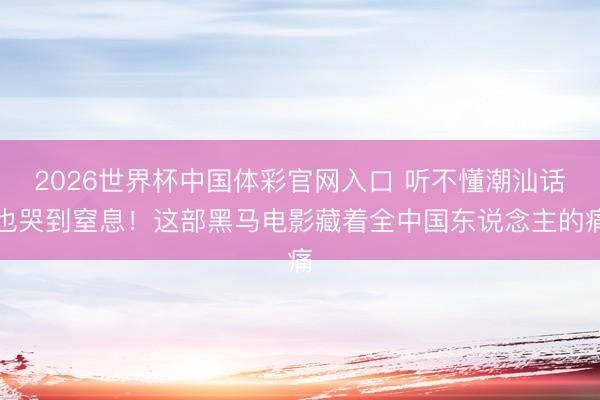 2026世界杯中国体彩官网入口 听不懂潮汕话也哭到窒息！这部黑马电影藏着全中国东说念主的痛