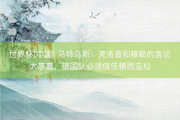 世界杯(中国) 马特乌斯：克洛普和穆勒的言论太愚蠢，德国队必须信任穆西亚拉