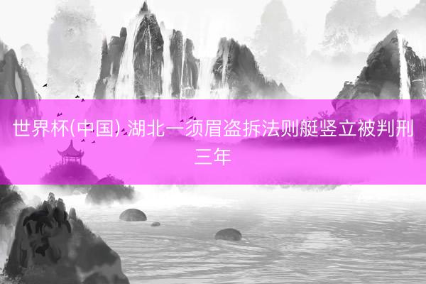 世界杯(中国) 湖北一须眉盗拆法则艇竖立被判刑三年