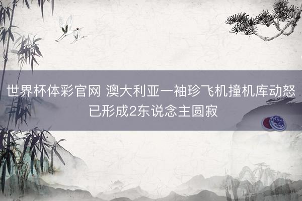 世界杯体彩官网 澳大利亚一袖珍飞机撞机库动怒 已形成2东说念主圆寂