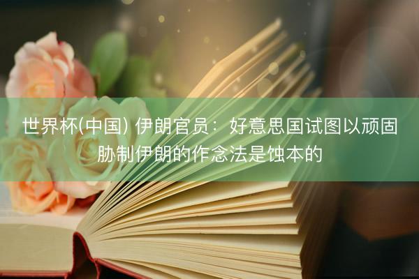 世界杯(中国) 伊朗官员：好意思国试图以顽固胁制伊朗的作念法是蚀本的