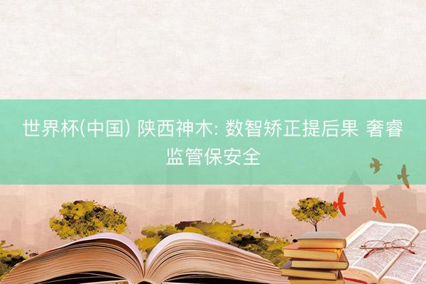 世界杯(中国) 陕西神木: 数智矫正提后果 奢睿监管保安全