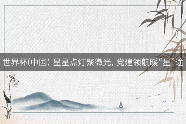世界杯(中国) 星星点灯聚微光, 党建领航暖“星”途
