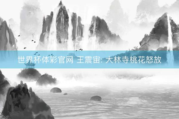 世界杯体彩官网 王震宙: 大林寺桃花怒放